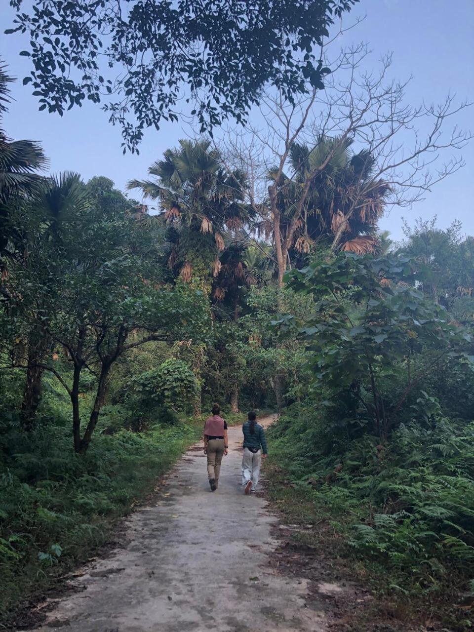 Bikki'S Jungle Homestay Ha Giang Luaran gambar