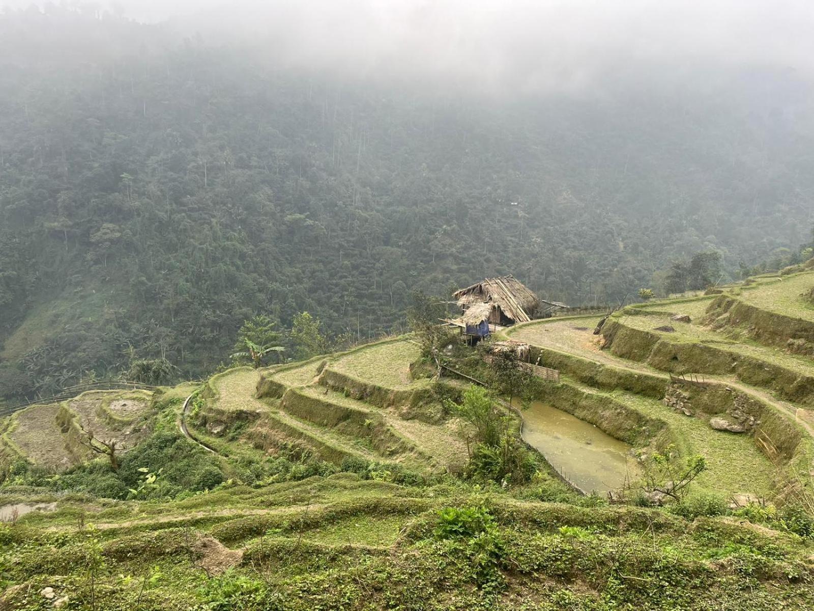 Bikki'S Jungle Homestay Ha Giang Luaran gambar