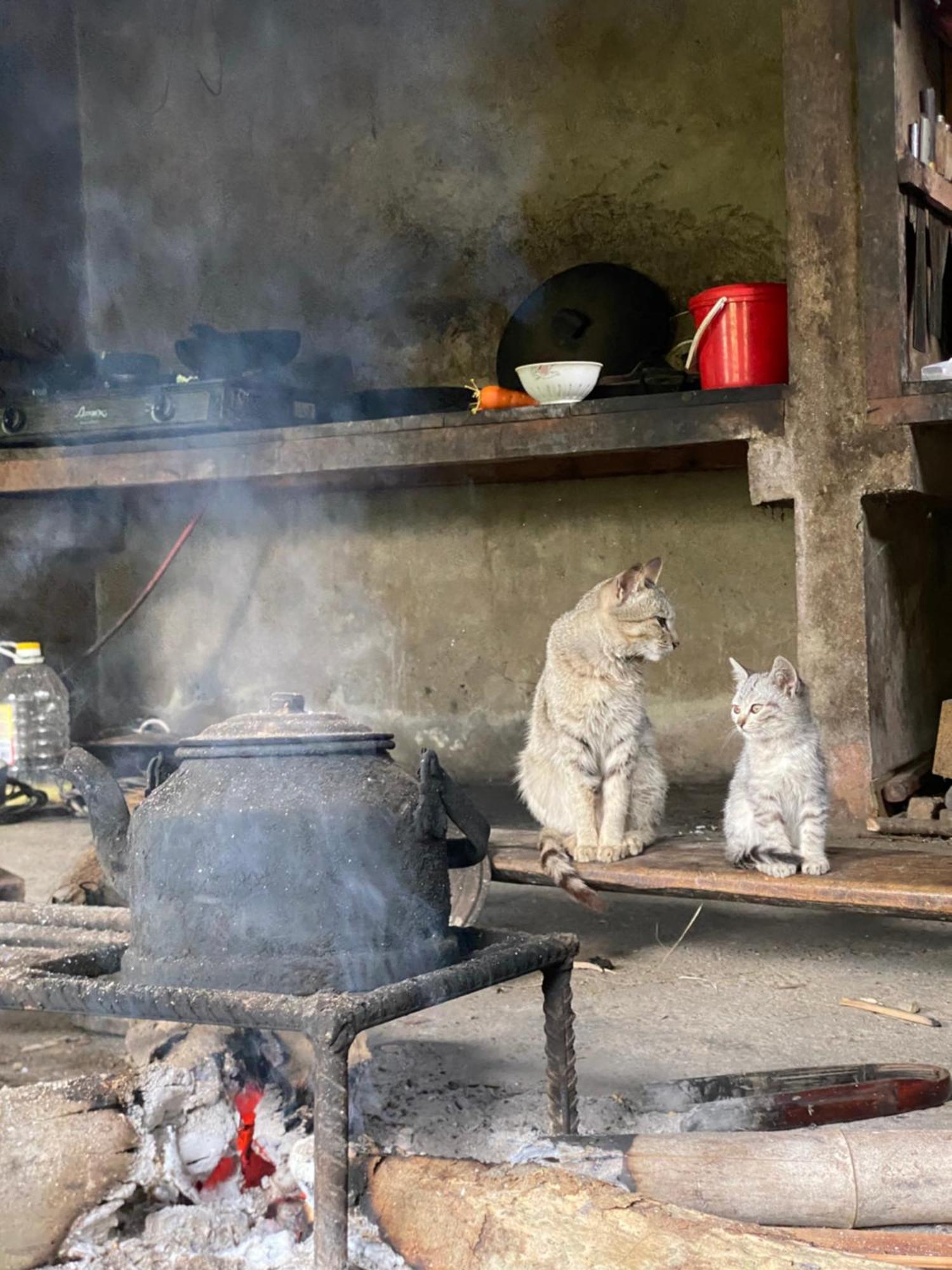 Bikki'S Jungle Homestay Ha Giang Luaran gambar