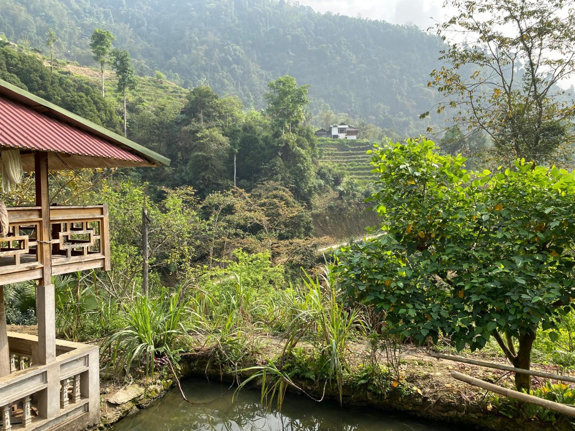 Bikki'S Jungle Homestay Ha Giang Luaran gambar