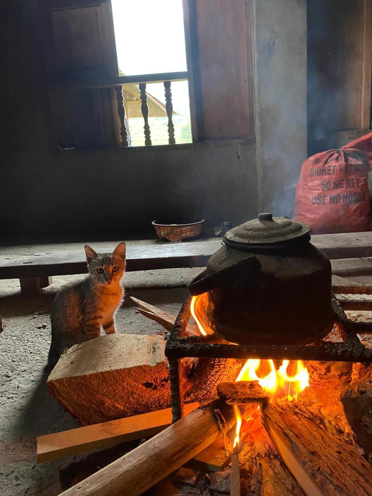 Bikki'S Jungle Homestay Ha Giang Luaran gambar