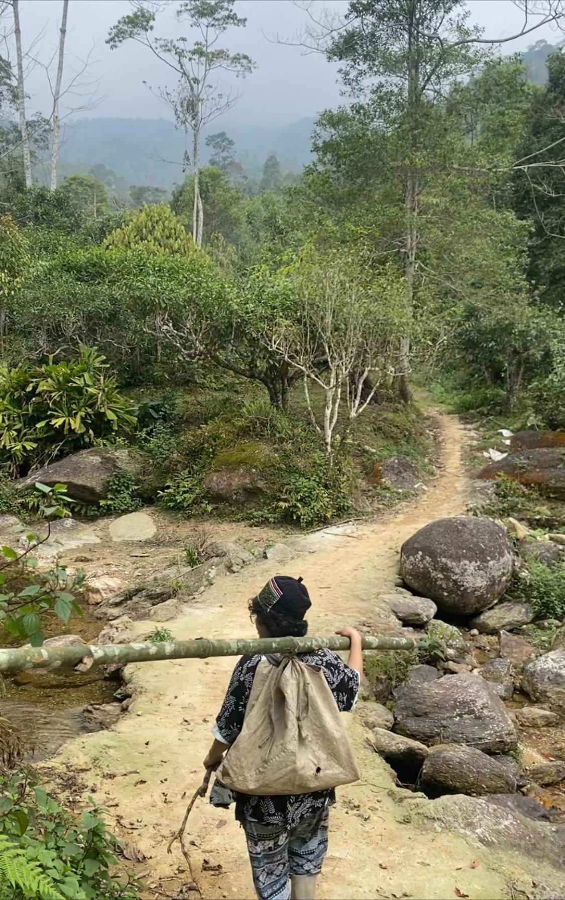 Bikki'S Jungle Homestay Ha Giang Luaran gambar